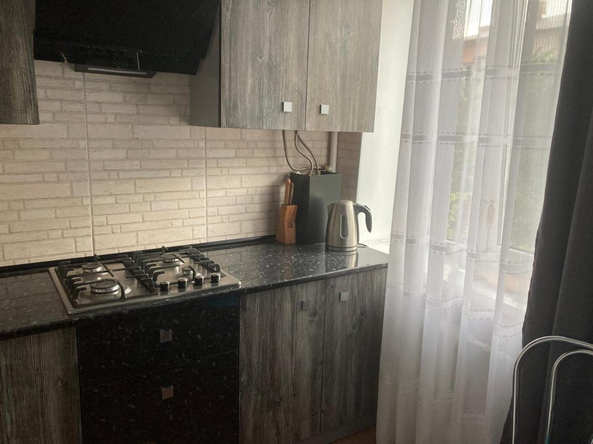 Apartment Artynova 29 Vinnytsia Extérieur photo